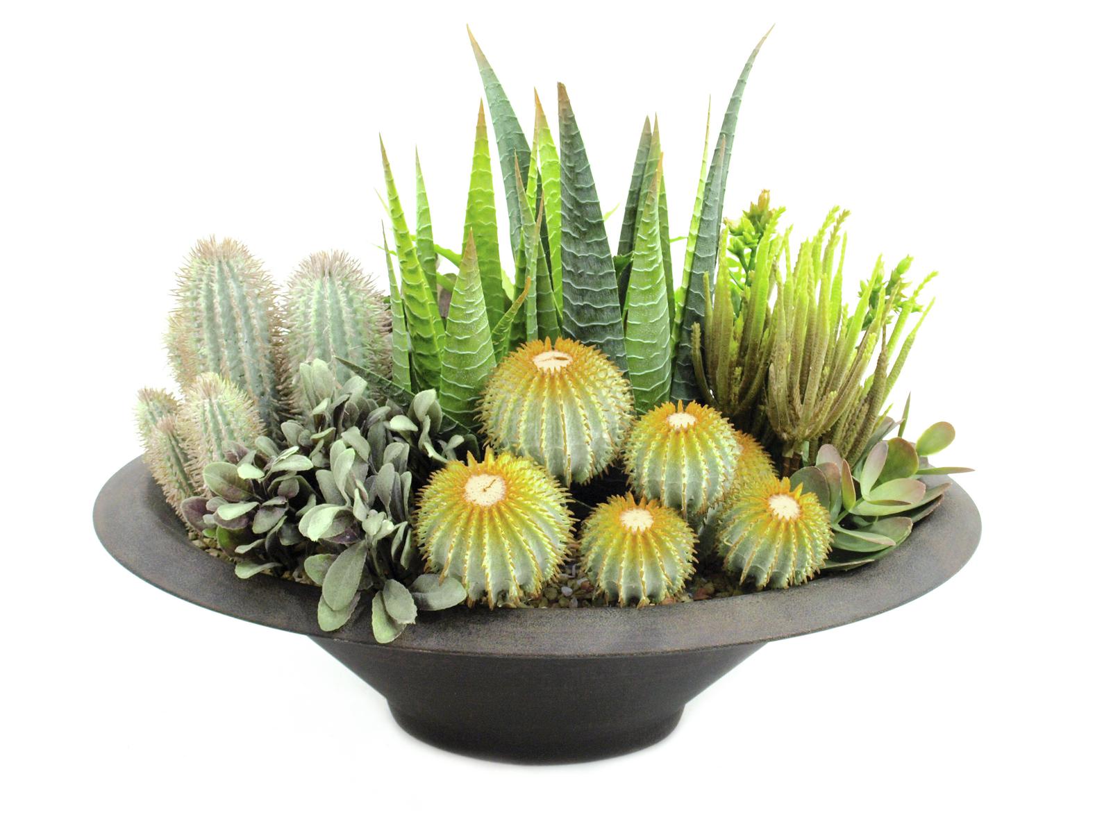 Europalms Sukkulenten-Arrangement, 38cm, Kunststoffpflanze
