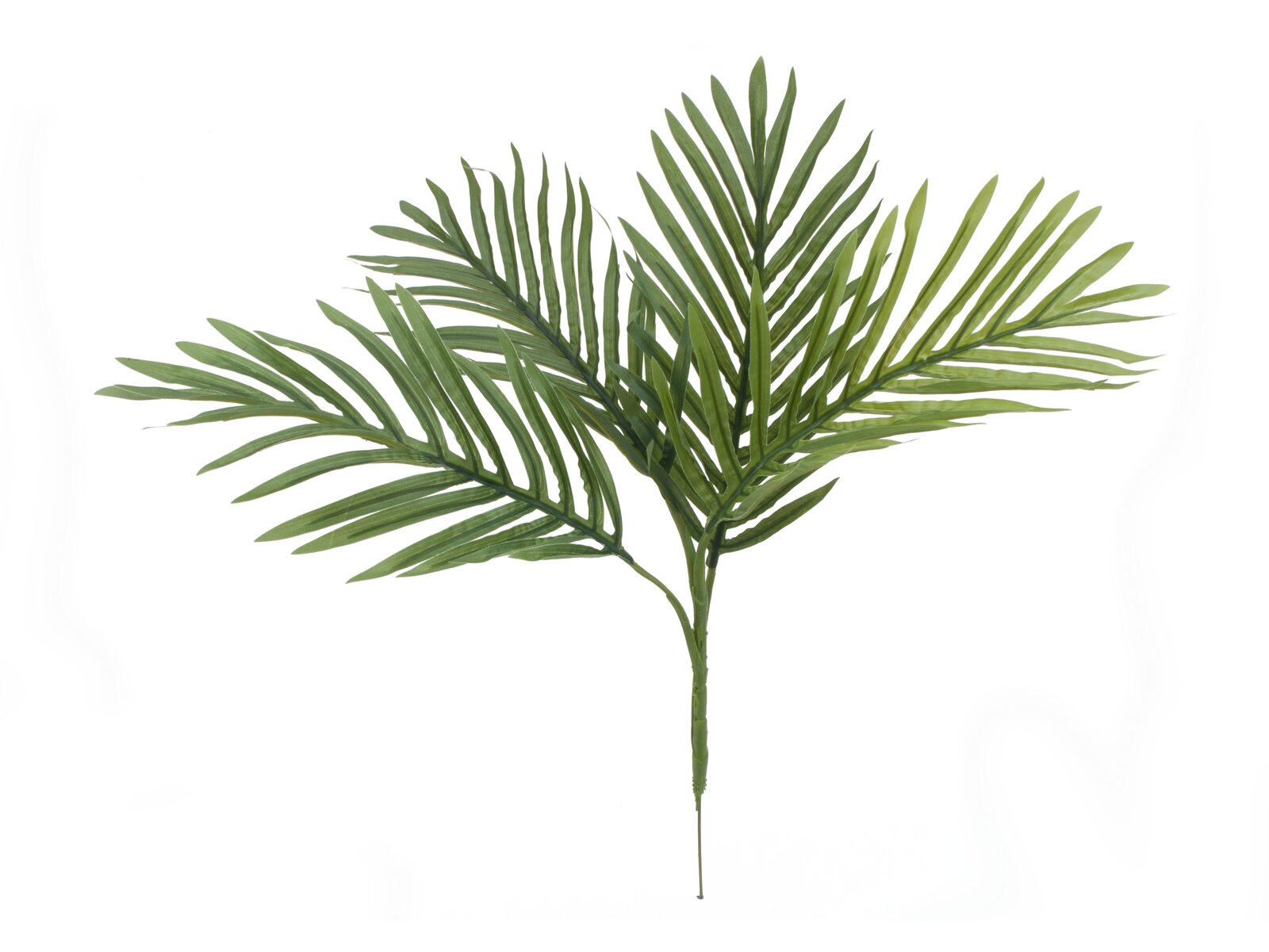 Europalms Areca Palmen-Setzling, Kunstpflanze, 60cm