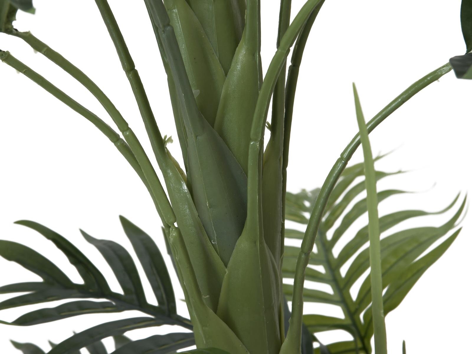 Europalms Phönixpalme 170cm, Kunststoff