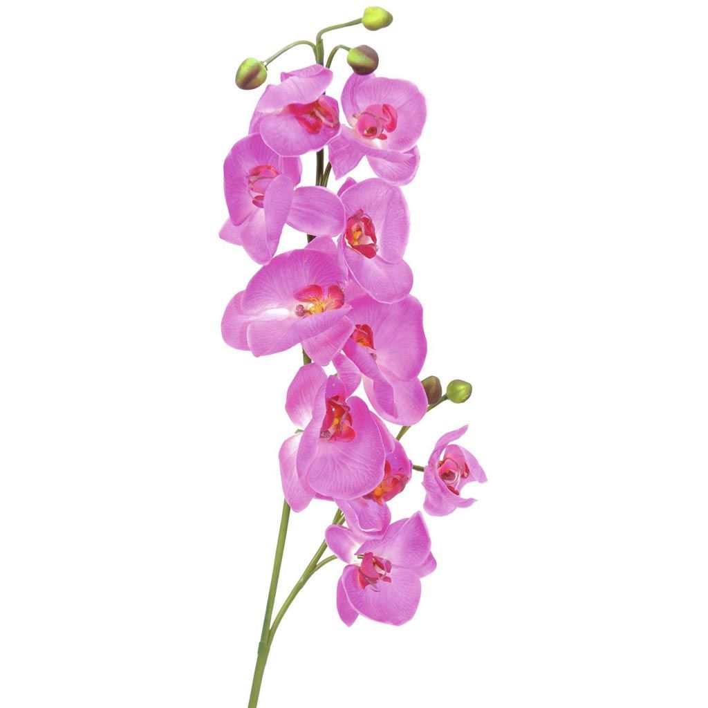 Europalms Orchideenzweig, lila, 100cm, Kunststoff