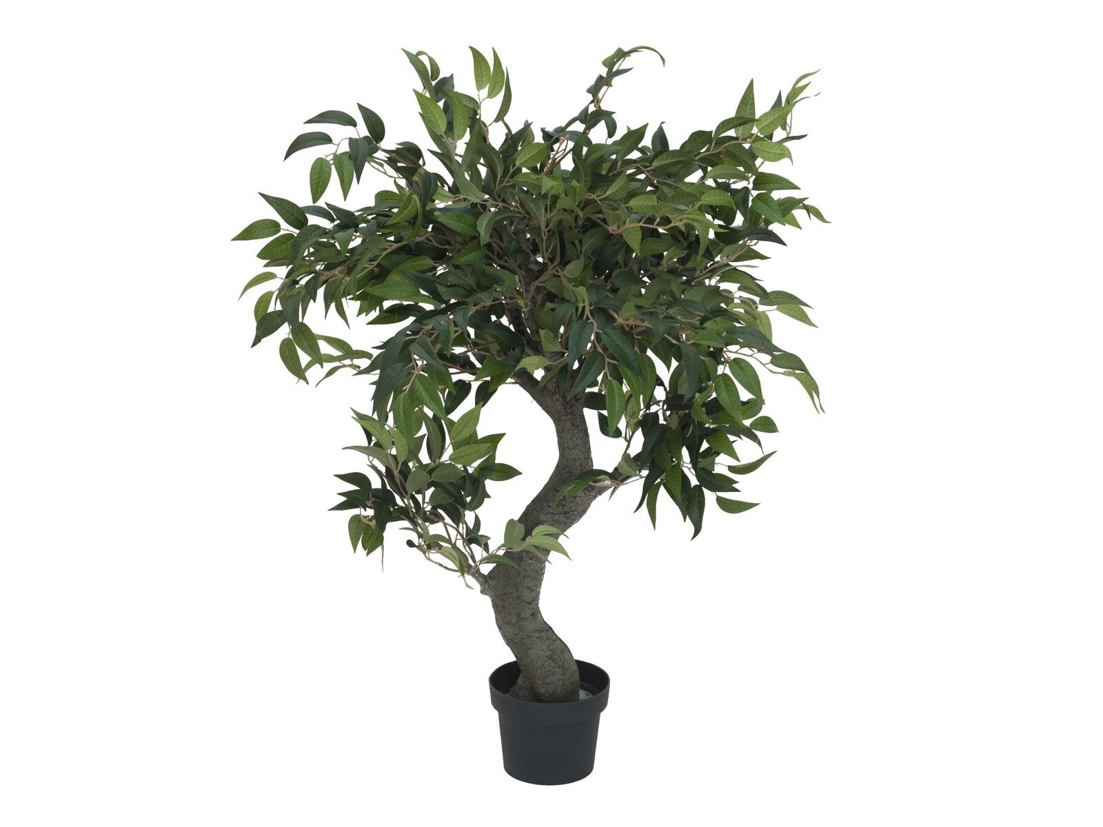 Europalms Ficus Waldbaum, 80cm, Kunststoff