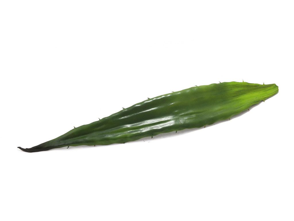Europalms Aloeblatt (EVA), grün, 60cm, Kunststoff