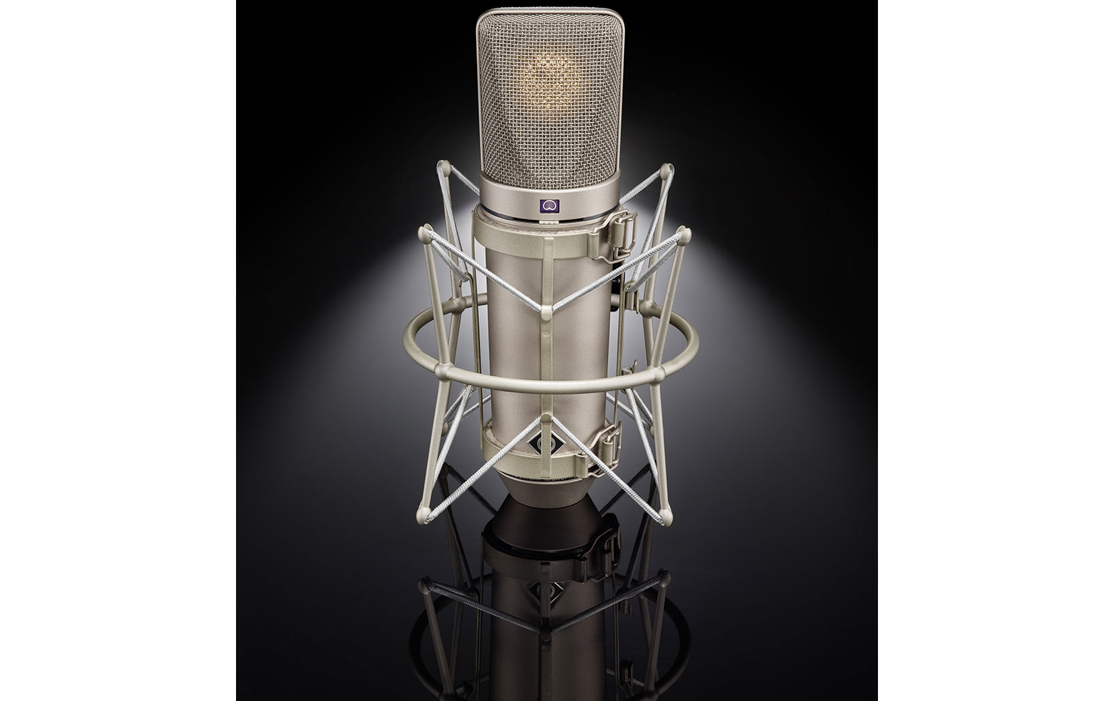 Neumann u67 Set