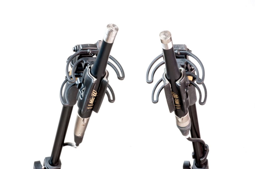 MicW PP190 Shock Mount für N-Serie