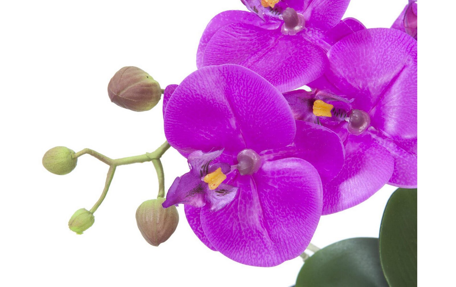 Europalms Orchideen-Arrangement 4, Kunststoffpflanze