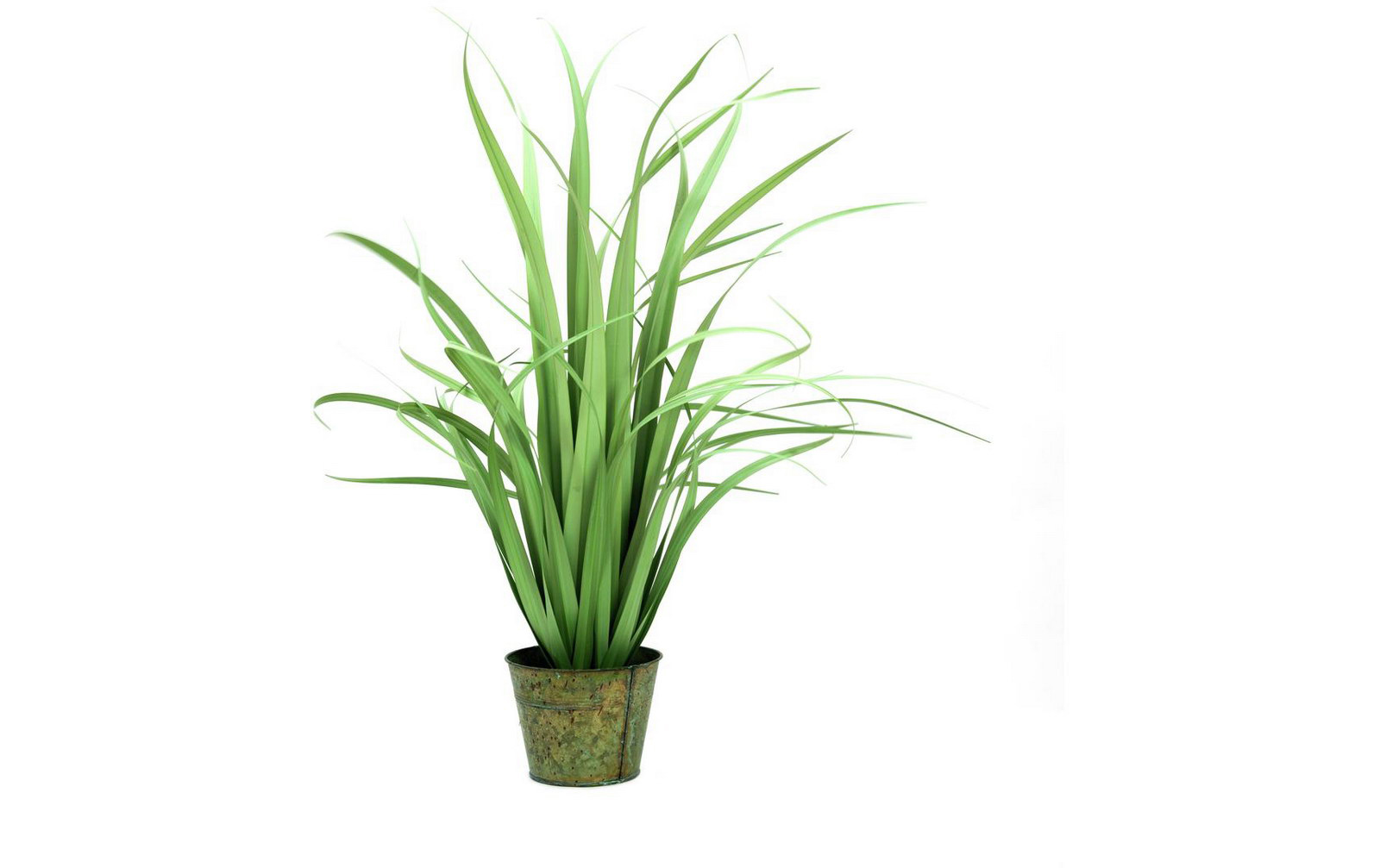 Europalms Yuccabusch, schmale Blätter, 80cm, Kunststoffpflanze