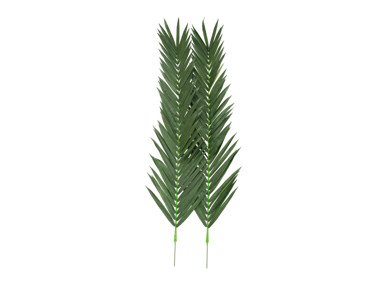 Europalms Kokos-Königspalmwedel, künstlich, 210cm