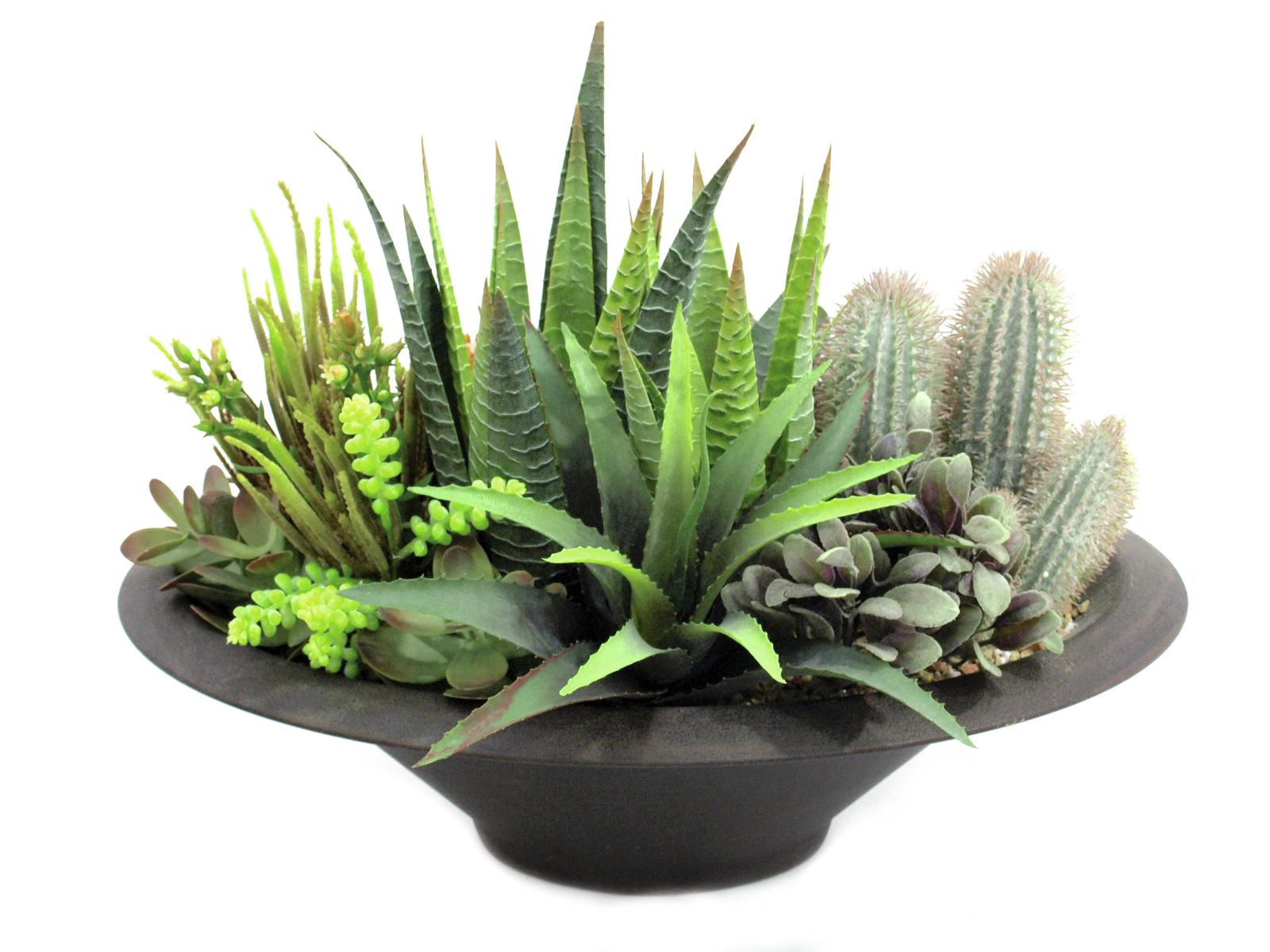 Europalms Sukkulenten-Arrangement, 38cm, Kunststoffpflanze