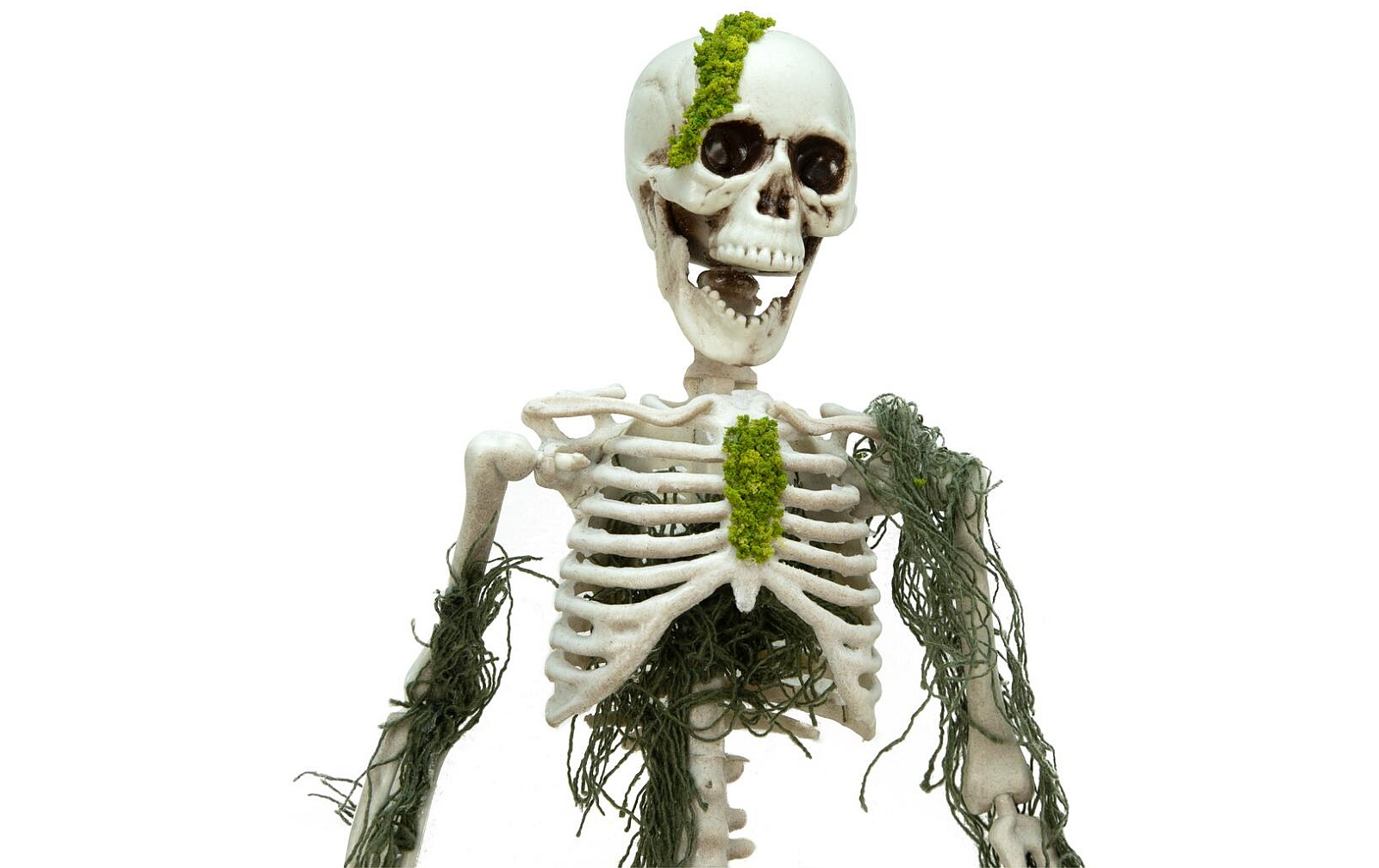Europalms Halloween Skelett mit Moos, 40cm