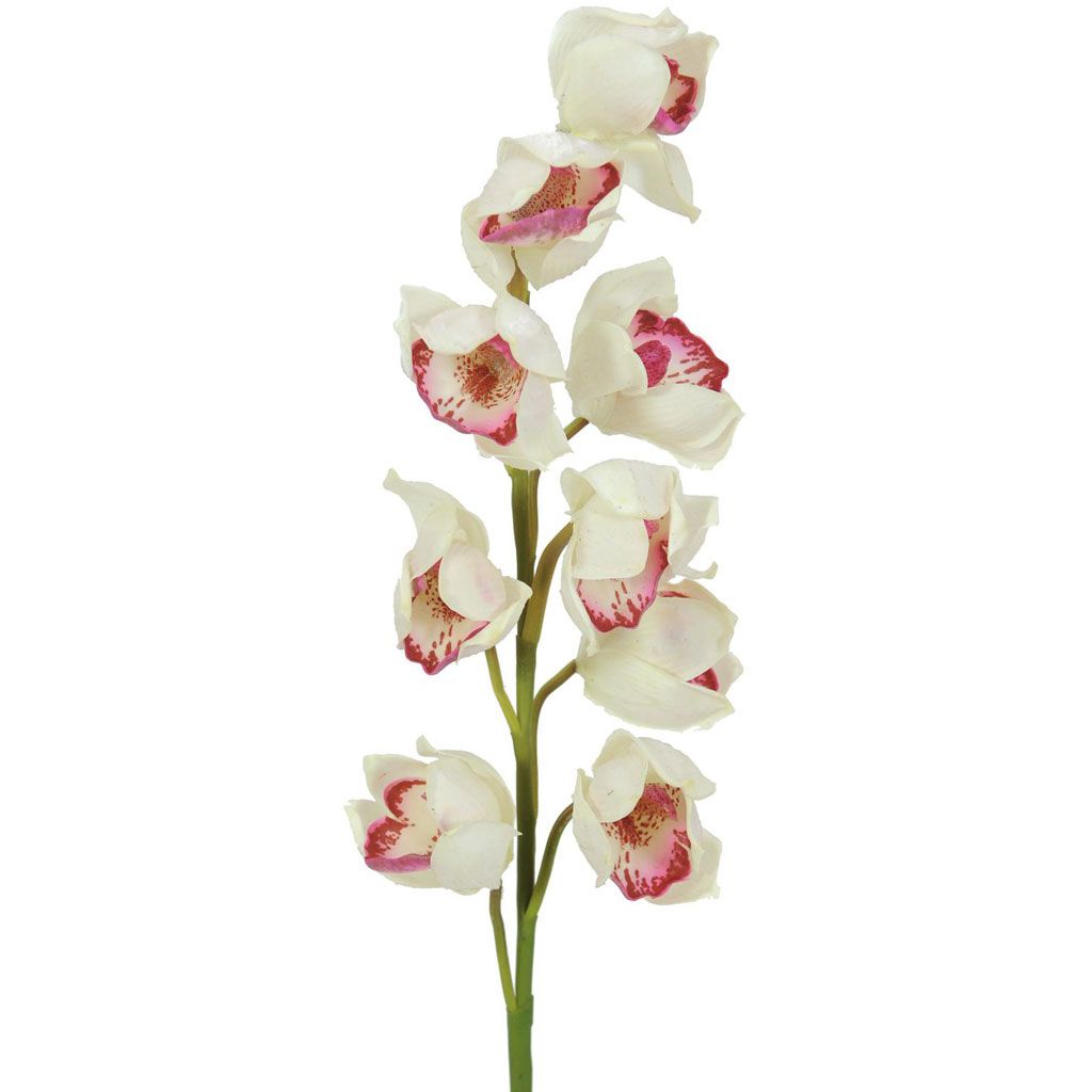 Europalms Cymbidiumzweig, weiß-pink, 90cm, Kunststoff
