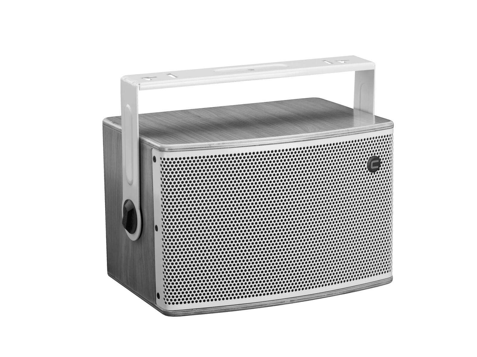 Celto iFIX10 FR 2-Wege Koaxial Lautsprecher natur/weiß