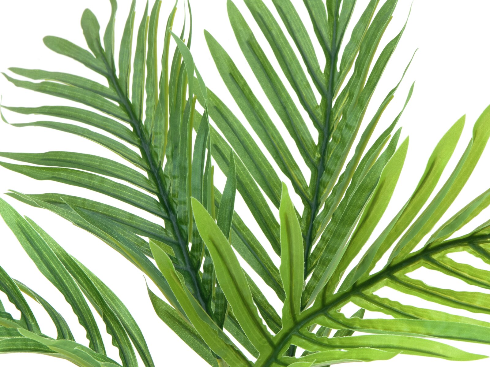 Europalms Areca Palmen-Setzling, Kunstpflanze, 60cm