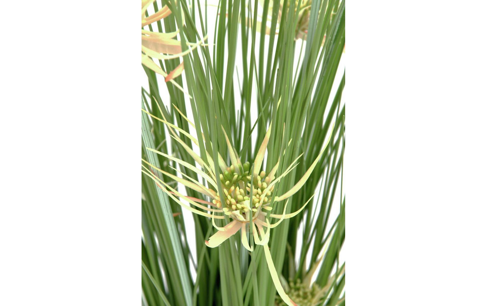 Europalms Sterngras, 105cm, Kunststoffpflanze
