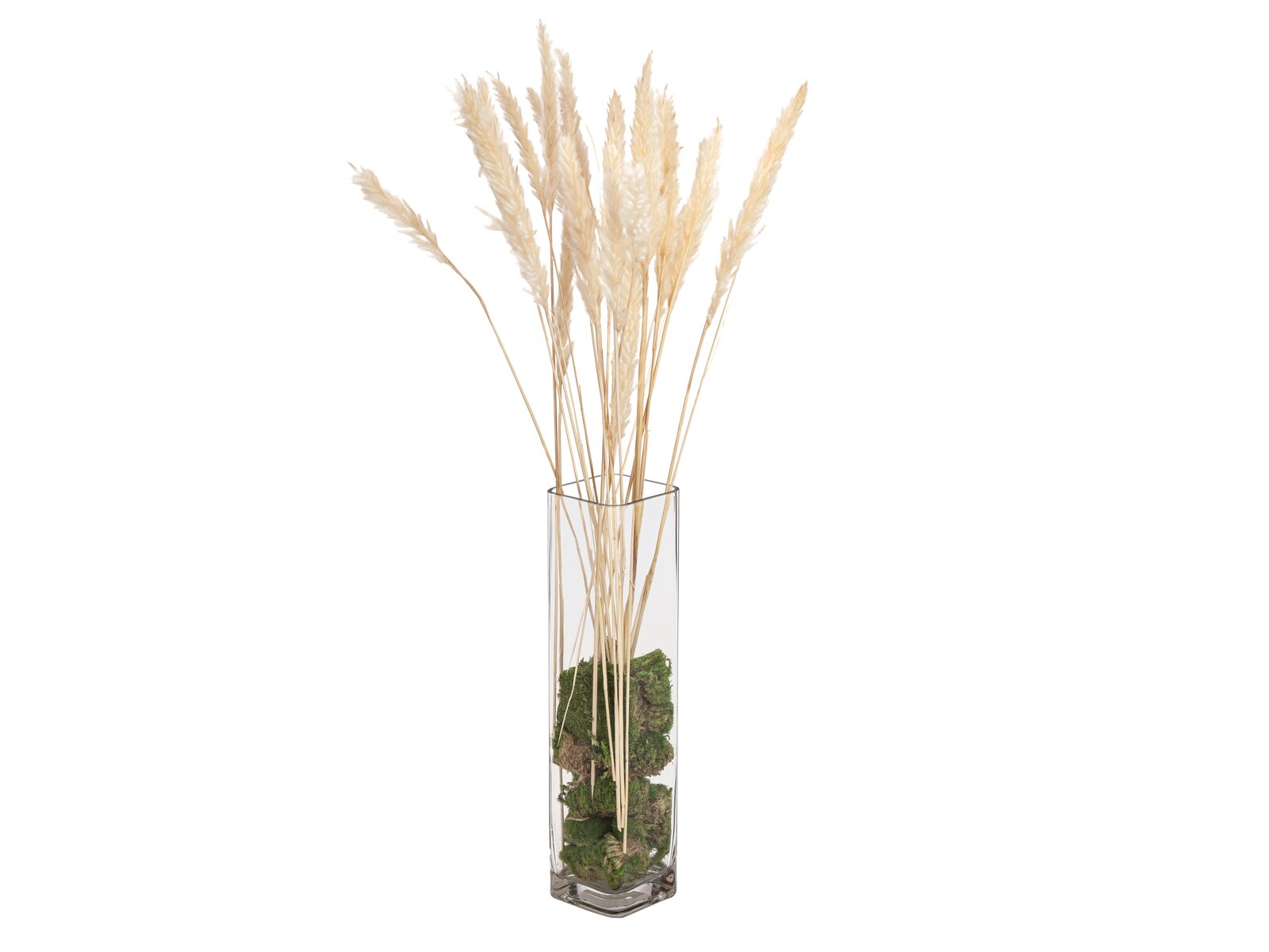 Jolipa Pampasgras Halm Bündel, getrocknet, natur, 75cm