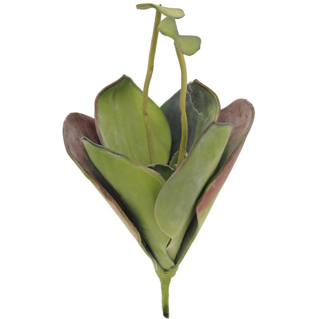 Europalms Seerose (EVA), geschlossen, grün, 45cm, Kunststoff