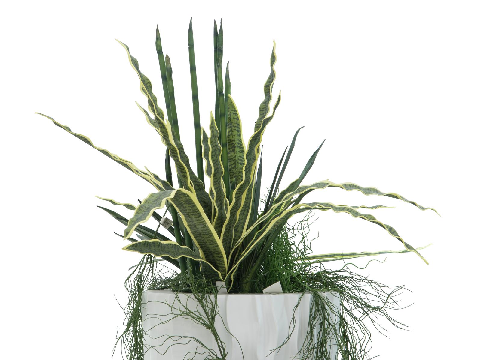 Europalms Sansevieria (EVA), grün-gelb, 74cm, Kunststoffpflanze