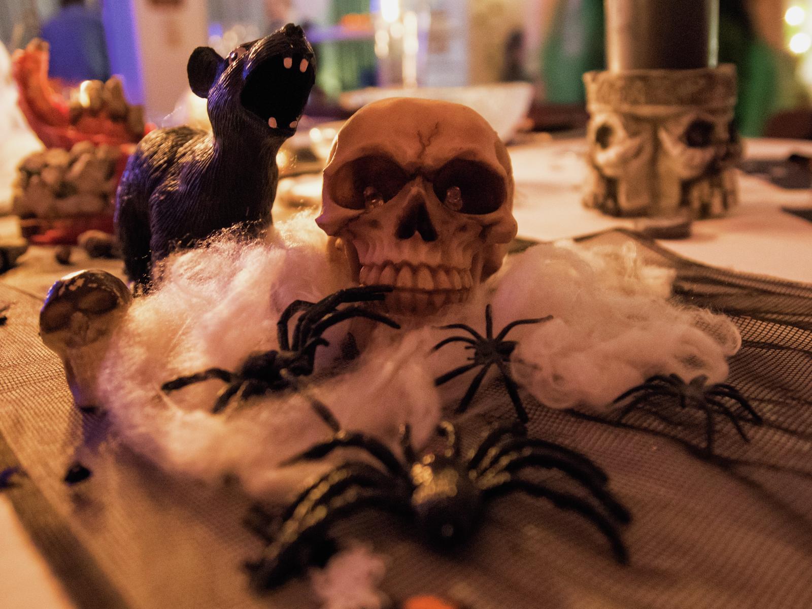 Europalms Halloween Spinnennetz weiß 100g UV-aktiv