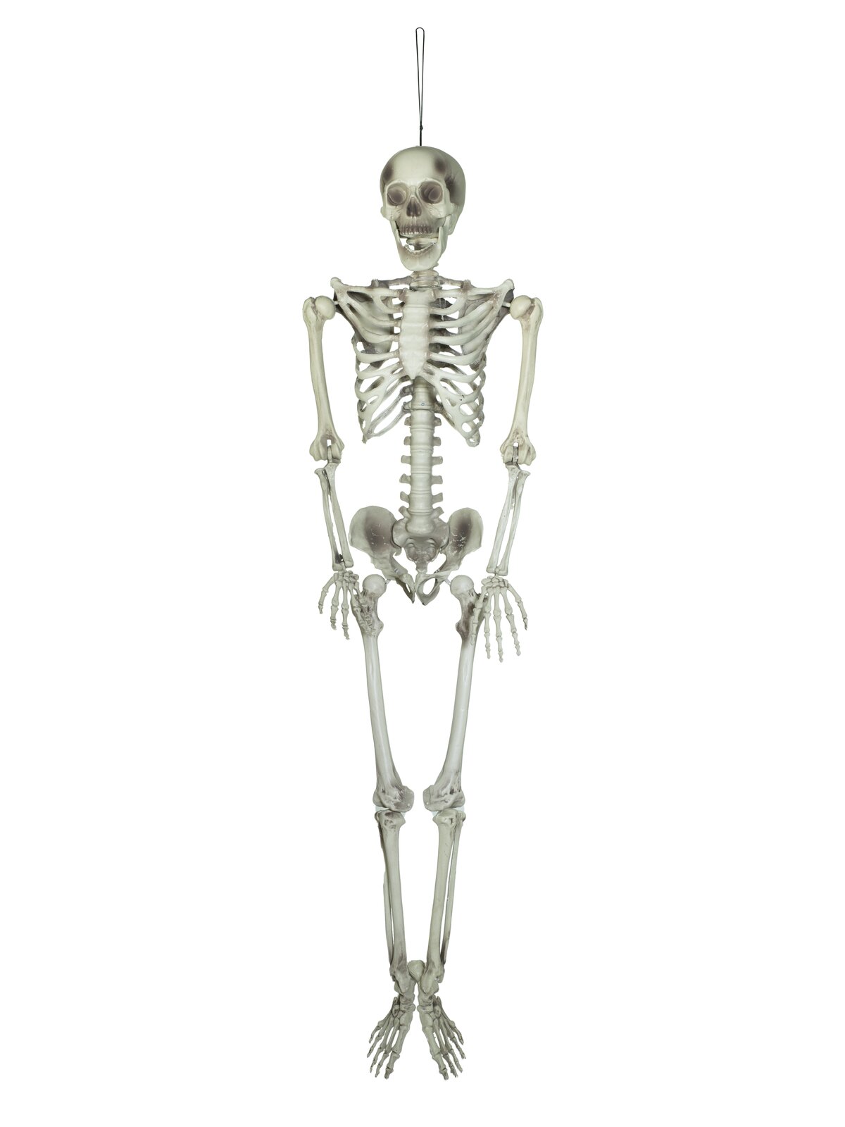 Europalms Halloween Skelett, 150 cm