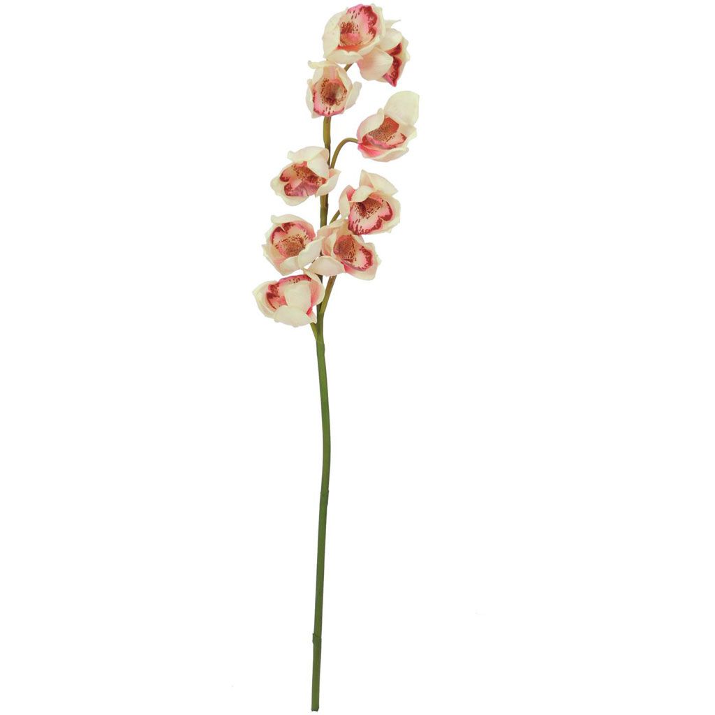 Europalms Cymbidiumzweig, creme-pink, 90cm, Kunststoff