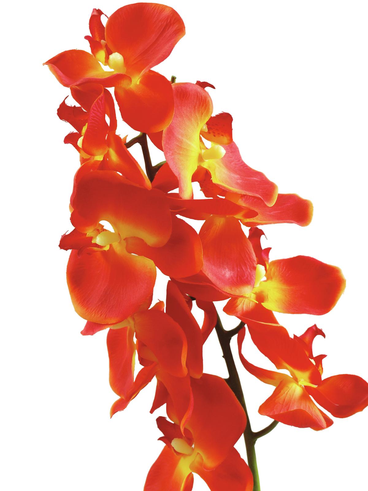 Europalms Orchideenzweig, orange, 70cm, Kunststoffpflanze