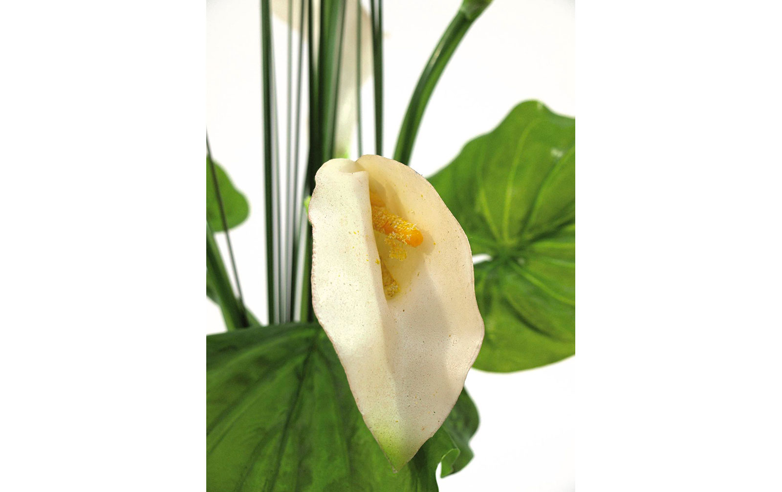 Europalms Calla im Glas 3 Blätter 5 Blüten 64cm, Kunststoff