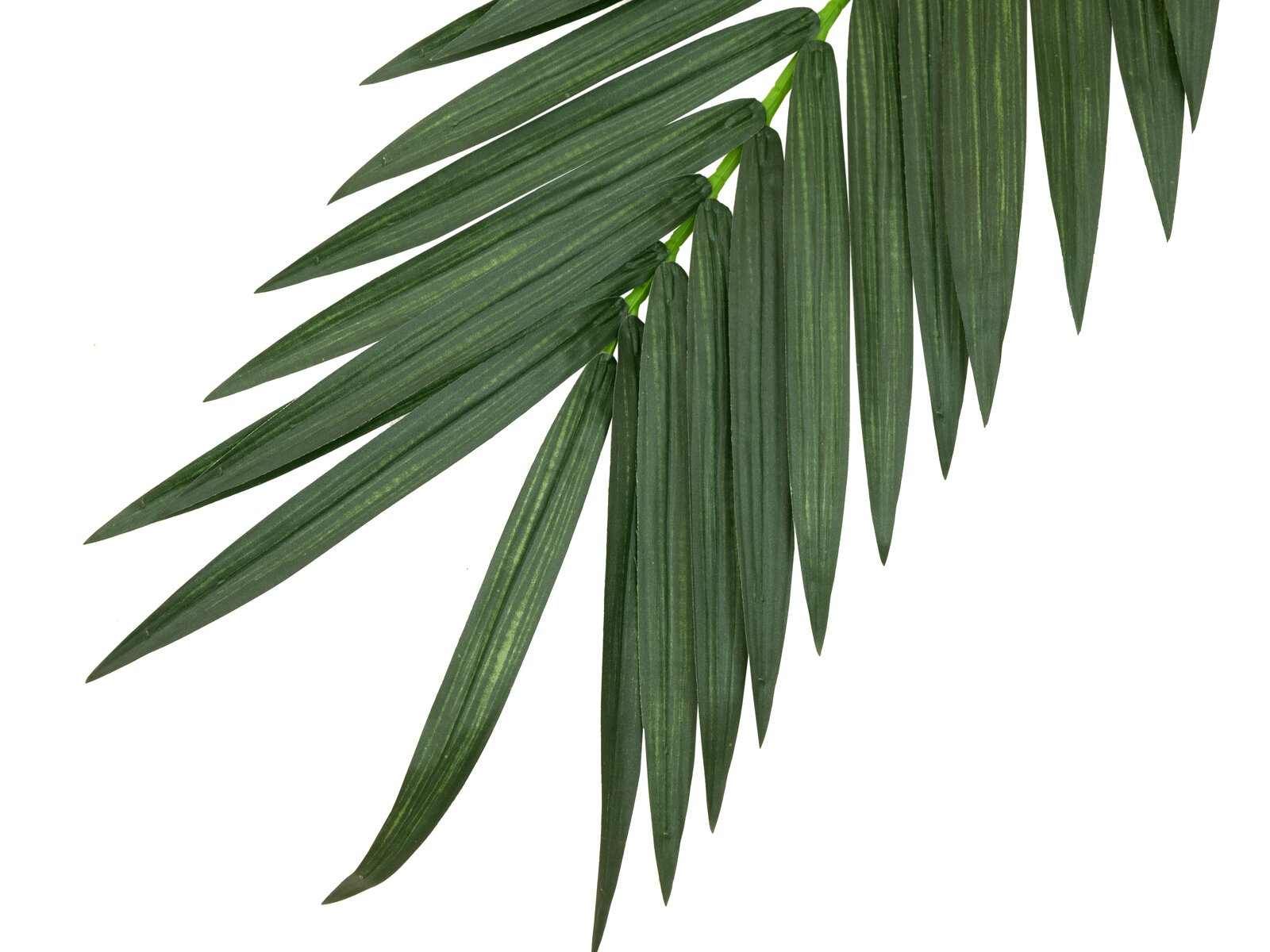Europalms Kokos-Königspalmwedel, künstlich, 210cm