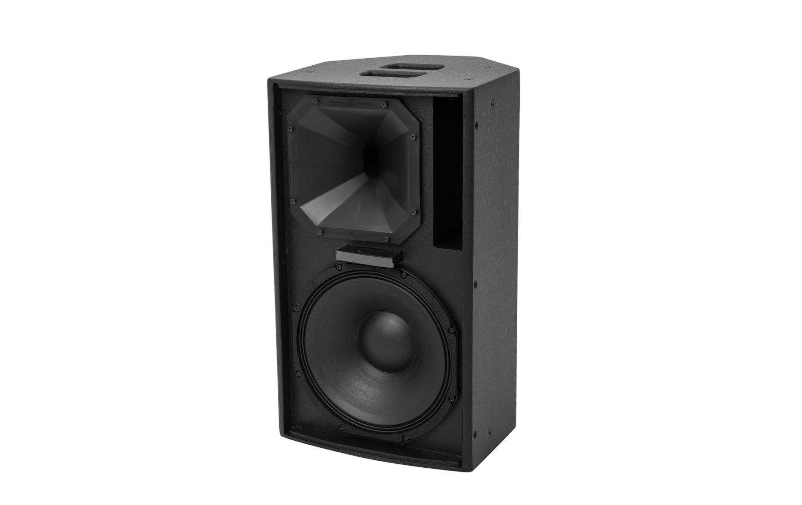 Celto Acoustique CT12V 2-Wege Fullrange Lautsprecher