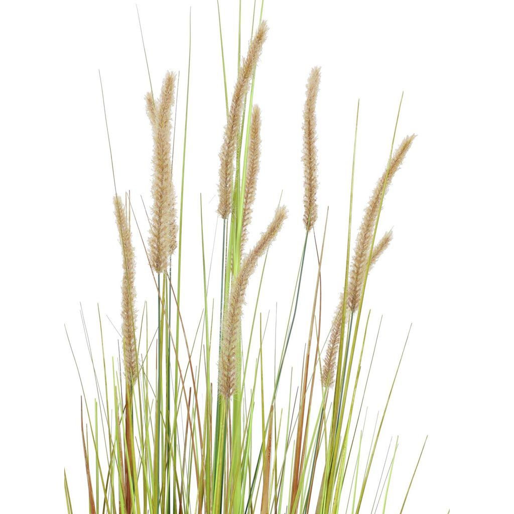 Europalms Lampenputzergrasbusch, 120cm, Kunststoff