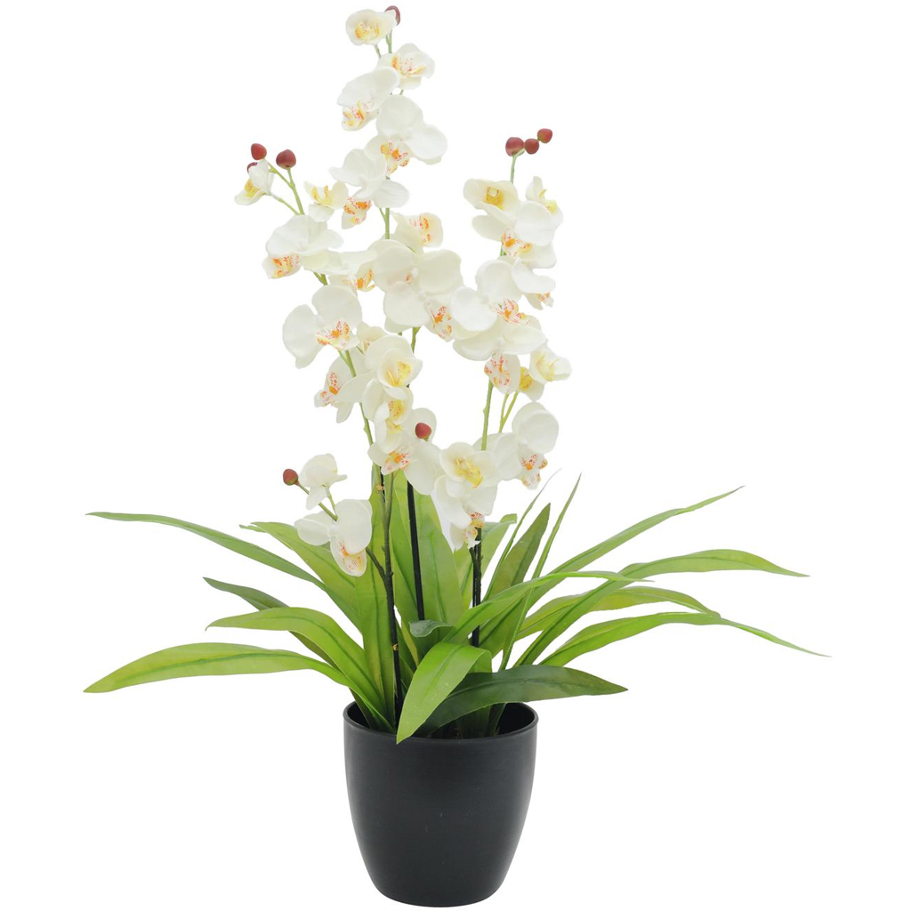 Europalms Orchidee, weiß, 80cm, Kunststoff
