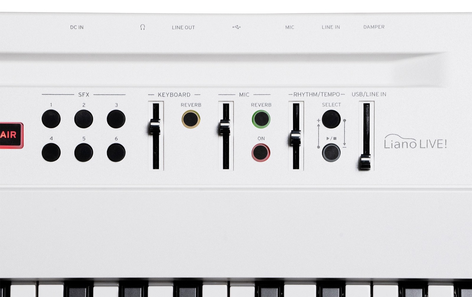 Korg Liano LIVE!