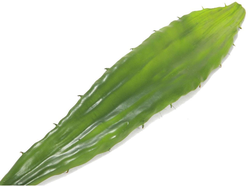Europalms Aloeblatt (EVA), grün, 60cm, Kunststoff