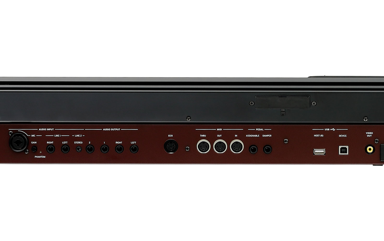 Korg Pa4X 76 Oriental