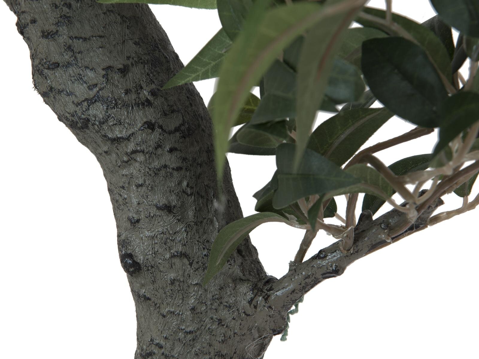 Europalms Ficus Waldbaum, 80cm, Kunststoff