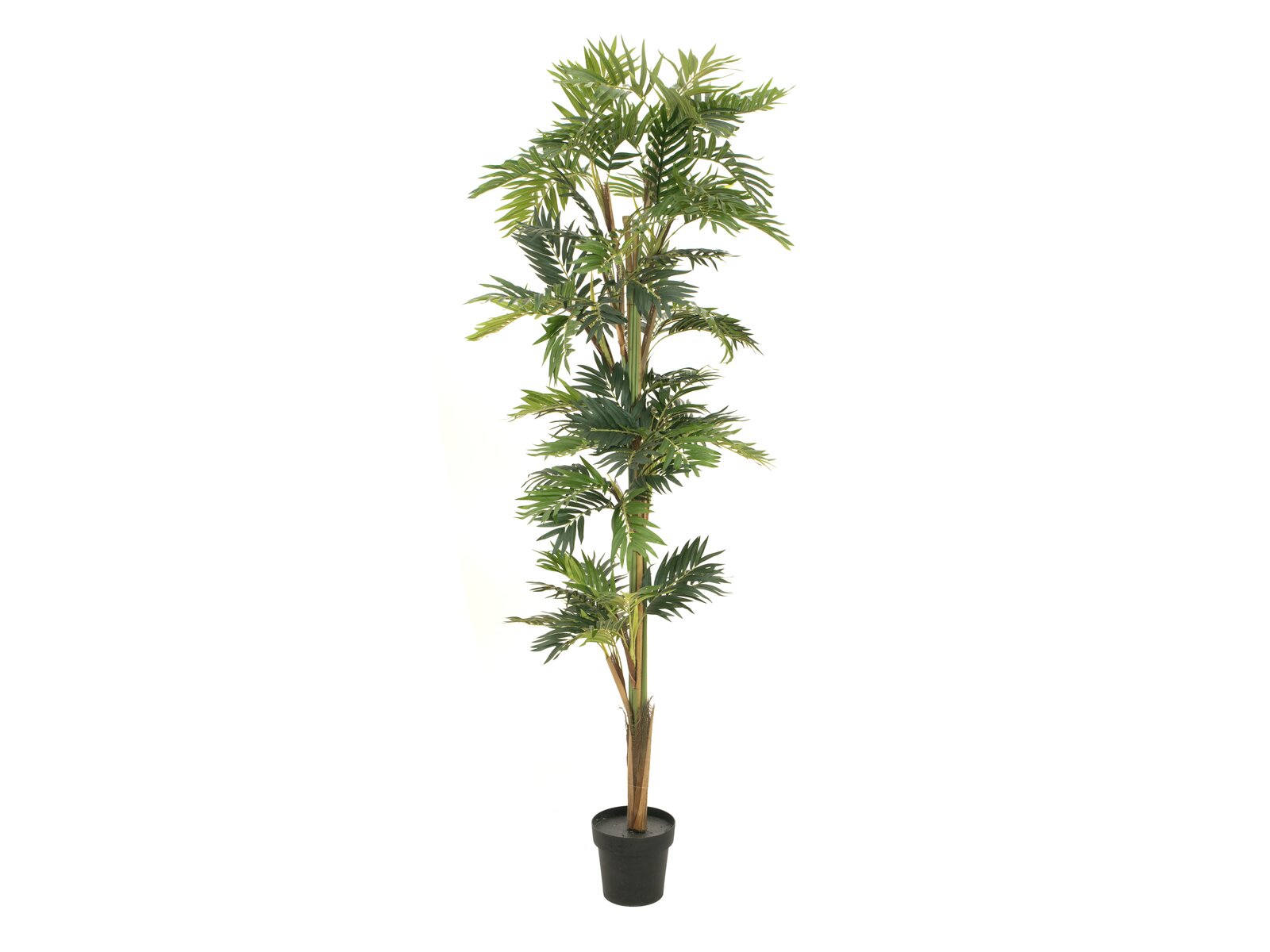 Europalms Parlour Palme, Kunstpflanze, 210cm