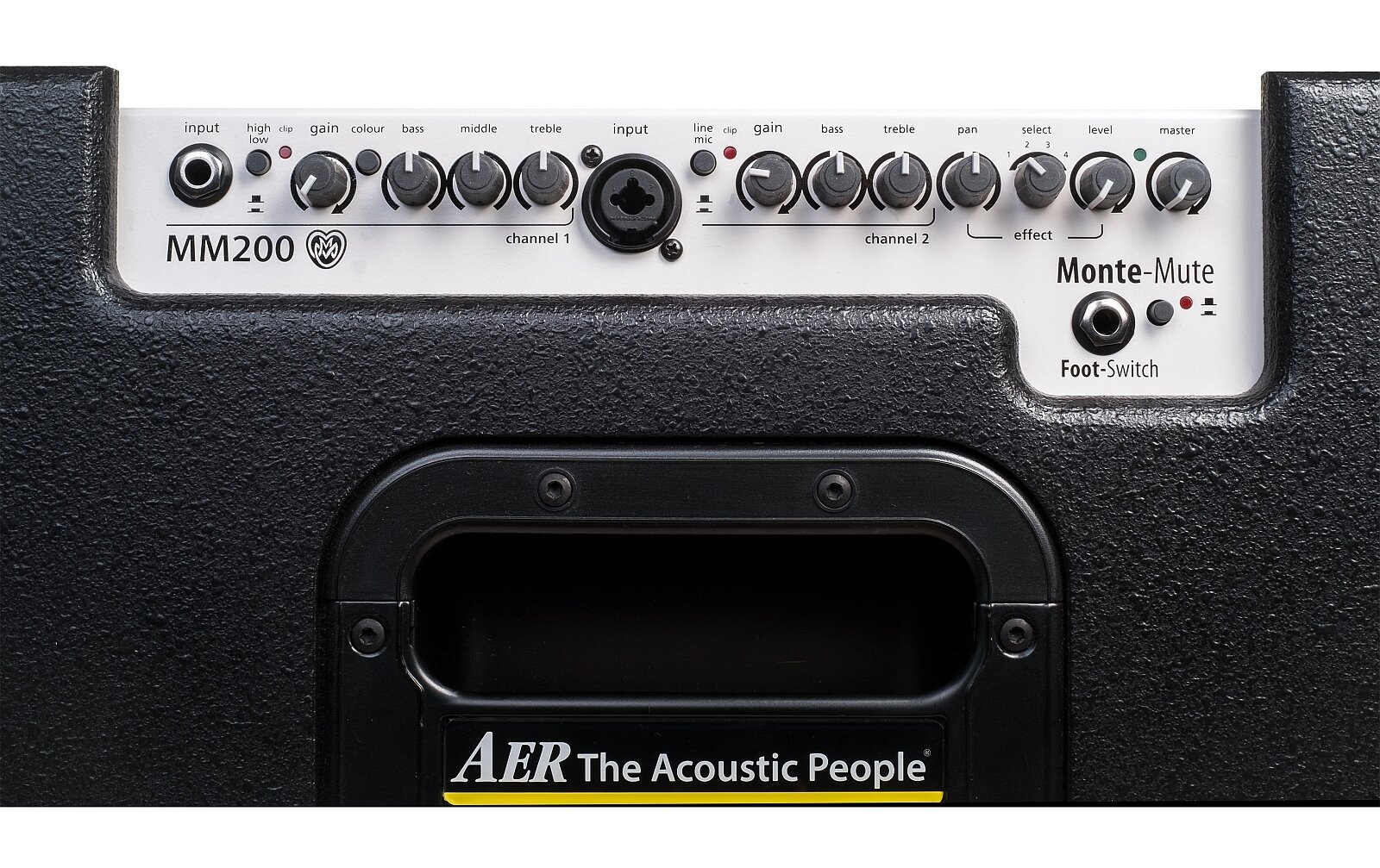 AER MM200 Monte Montgomery Signature Amp