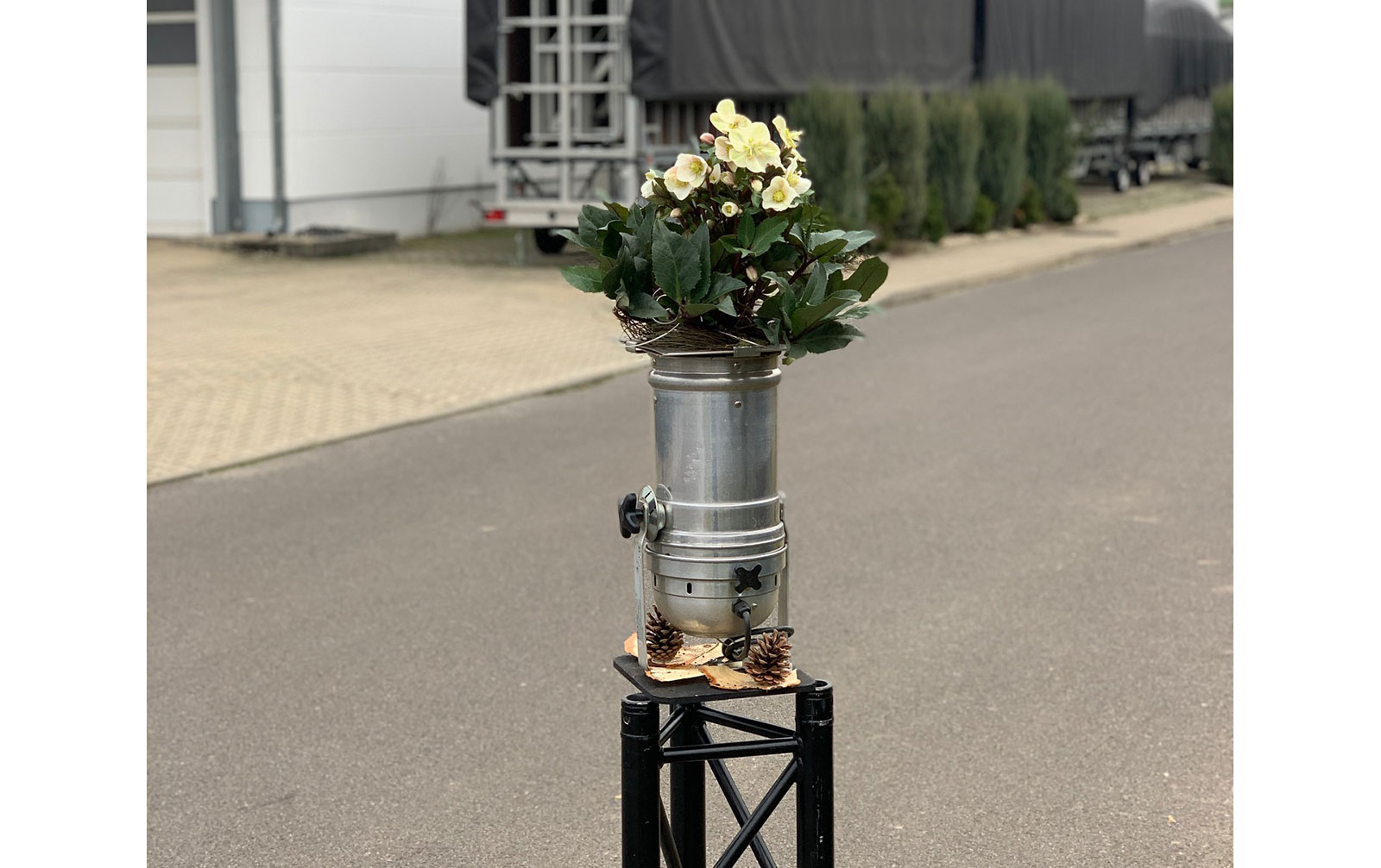 Soli-Kanne "Christrose" - NUR SELBSTABHOLUNG!