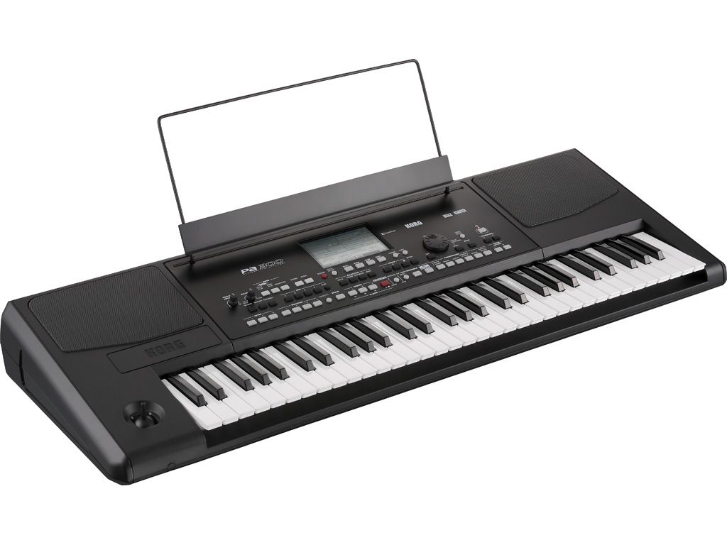 Korg Pa300