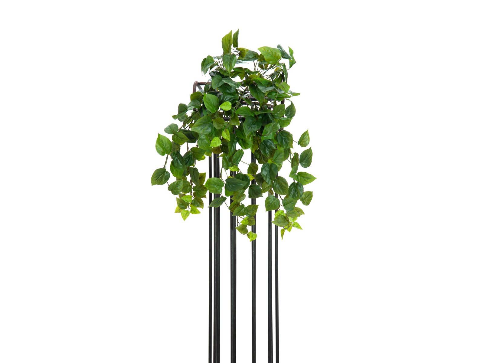 Europalms Philodendronbusch Premium, künstlich, 50 cm