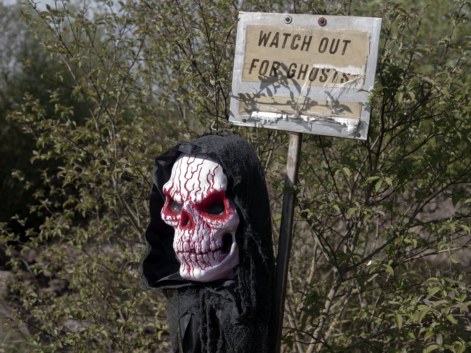 Europalms Halloween Blut Totenkopf, 80cm