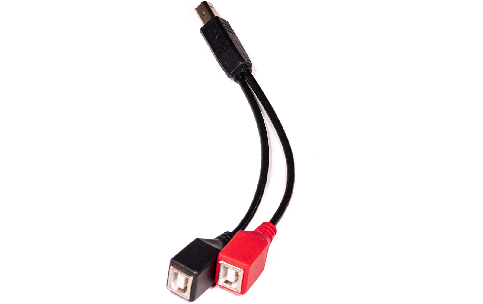 1010music USB-B-Splitter-Kabel für bluebox