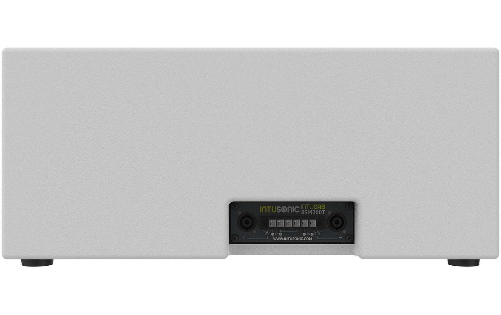 Intusonic 8SM300T 2x8" Subwoofer weiß