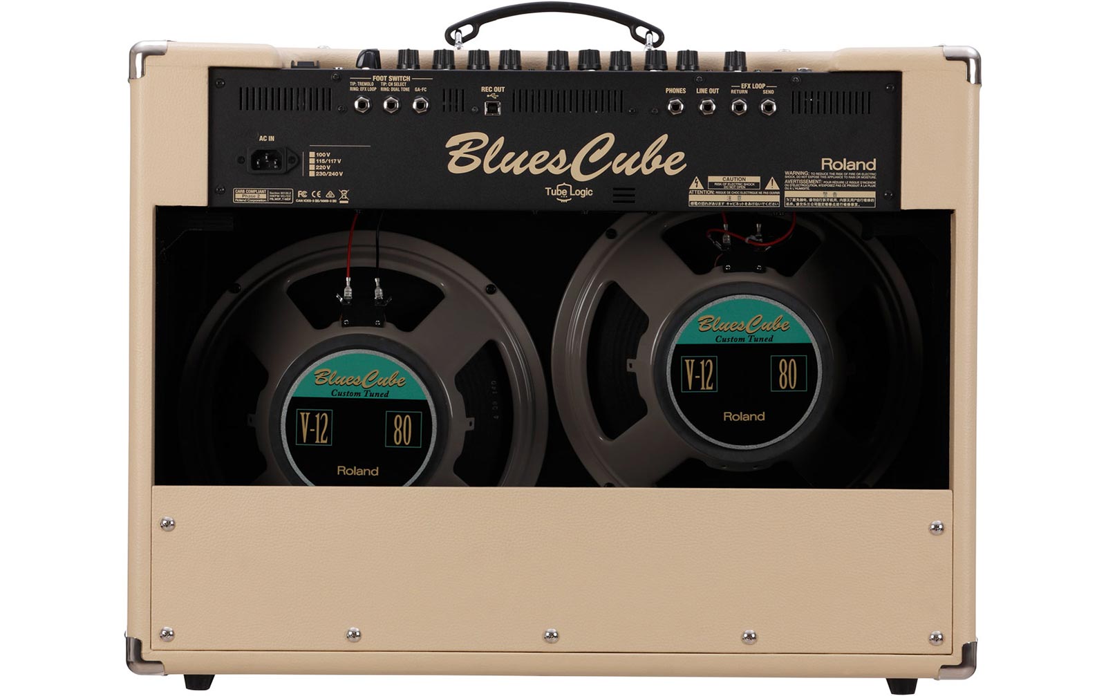 Roland Blues Cube Artist 212
