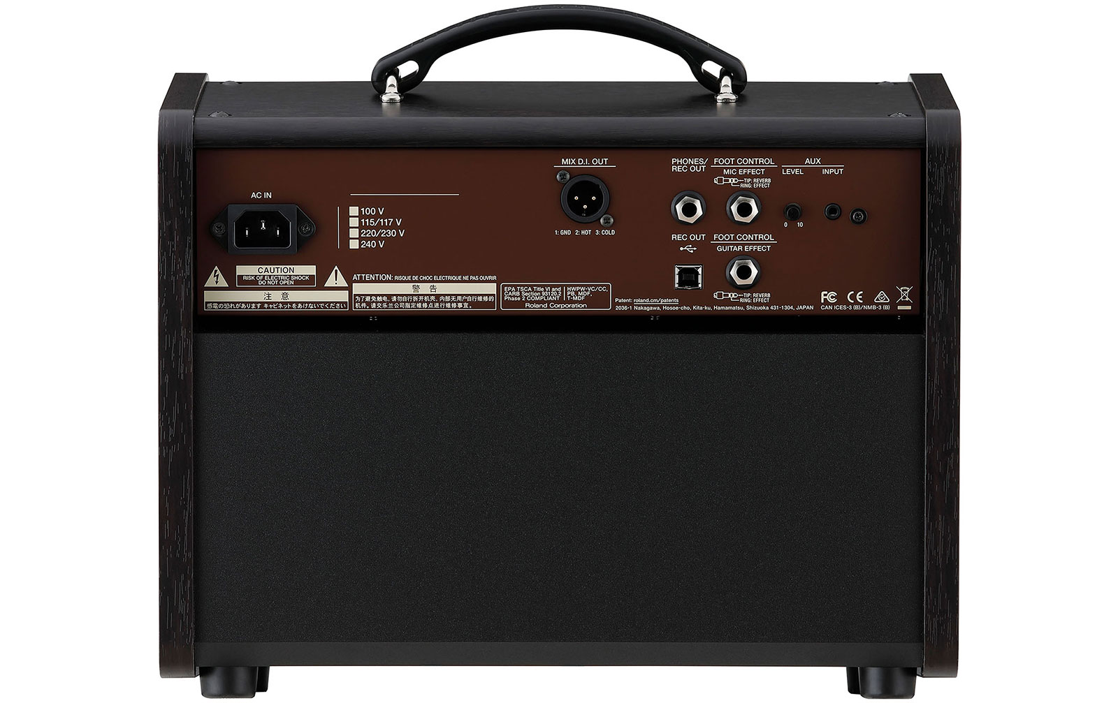 Boss ACS Acoustic Singer Live LT