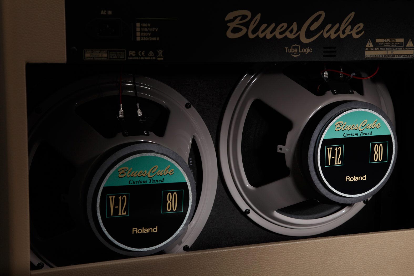Roland Blues Cube Artist 212