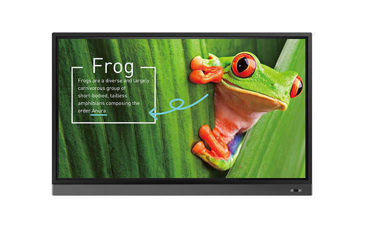 BenQ RM7501K ProAV-Display