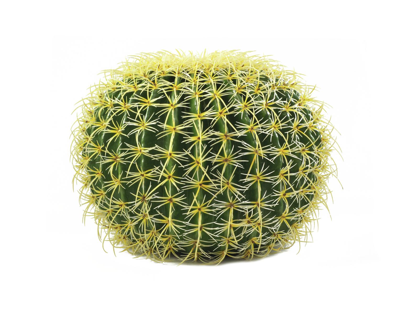 Europalms Goldkugelkaktus, 48cm, Kunststoffpflanze