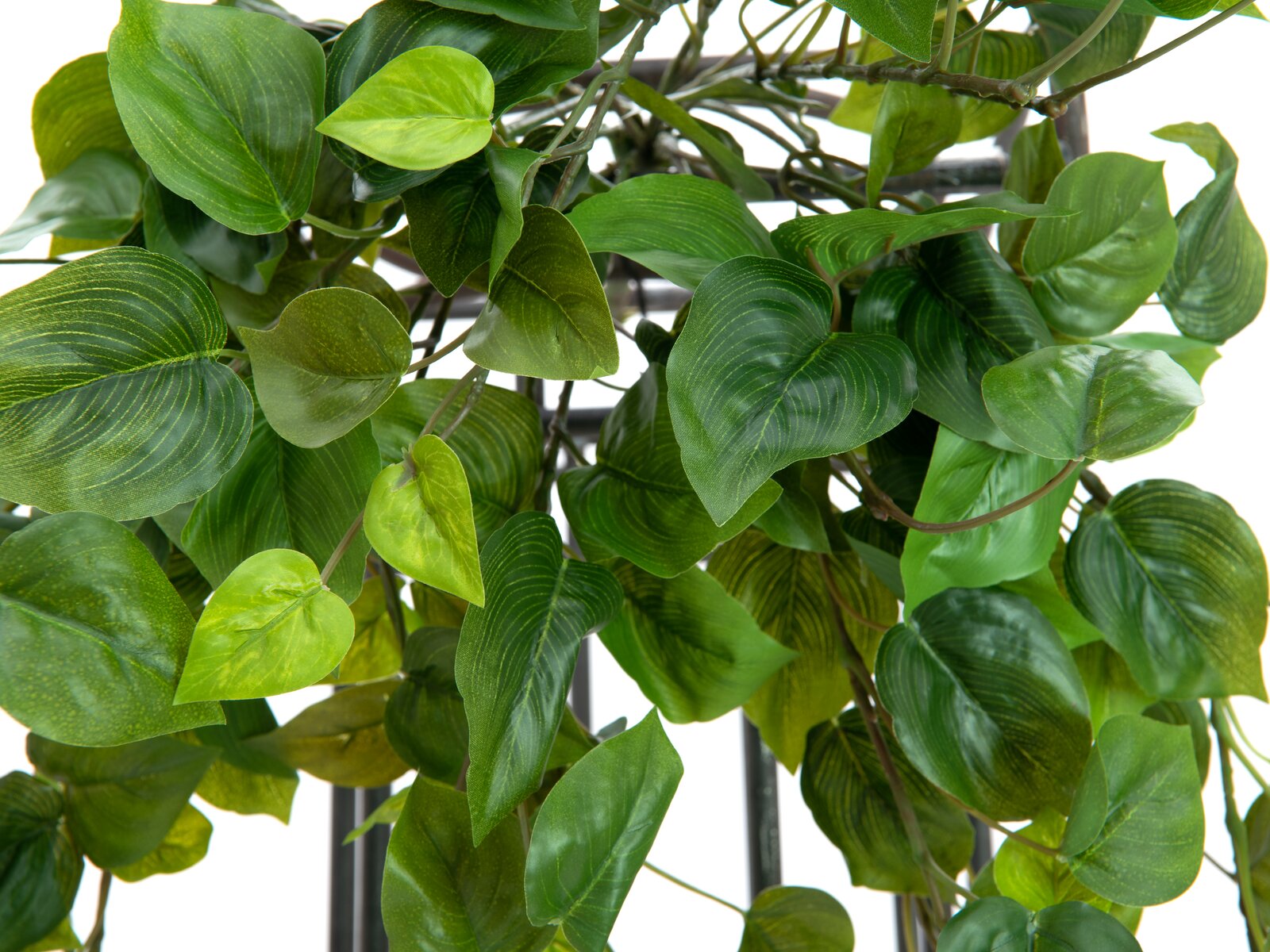 Europalms Philodendronbusch Premium, künstlich, 50 cm