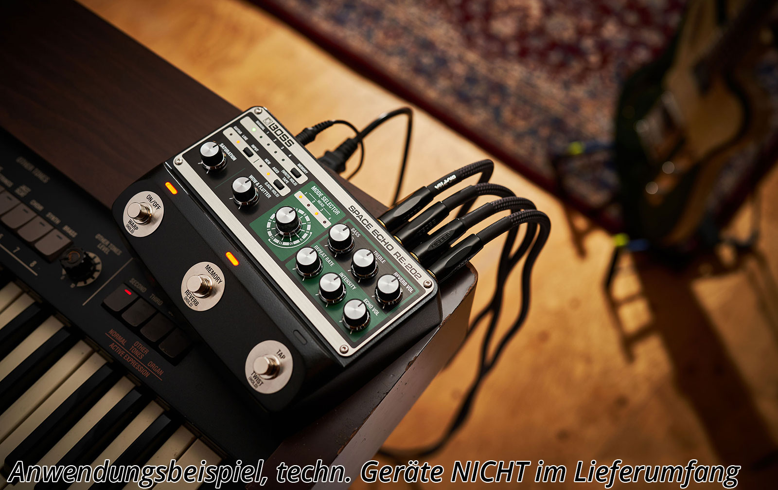Boss RE-202