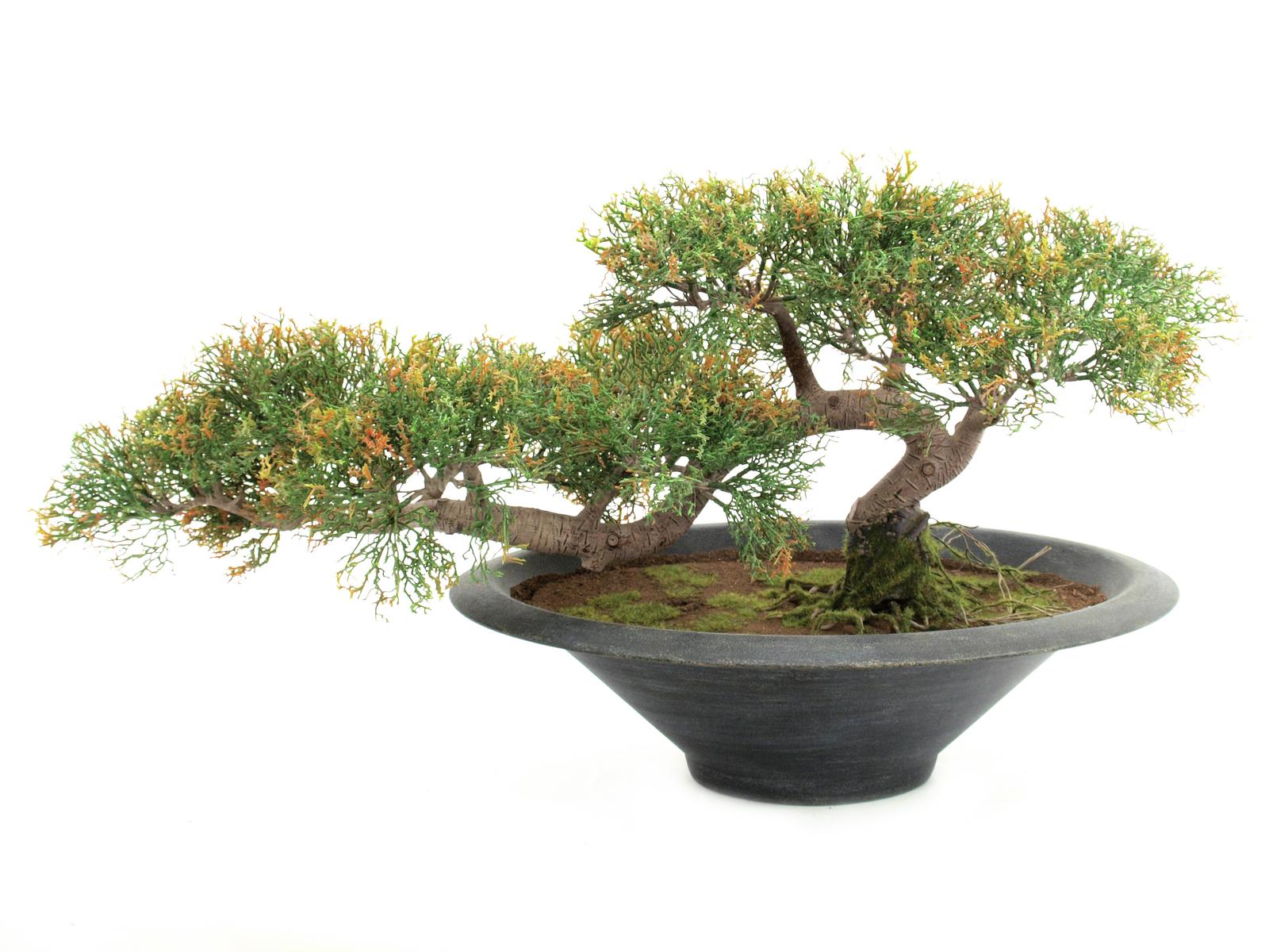 Europalms Bonsai-Zeder, 40cm, Kunststoffpflanze