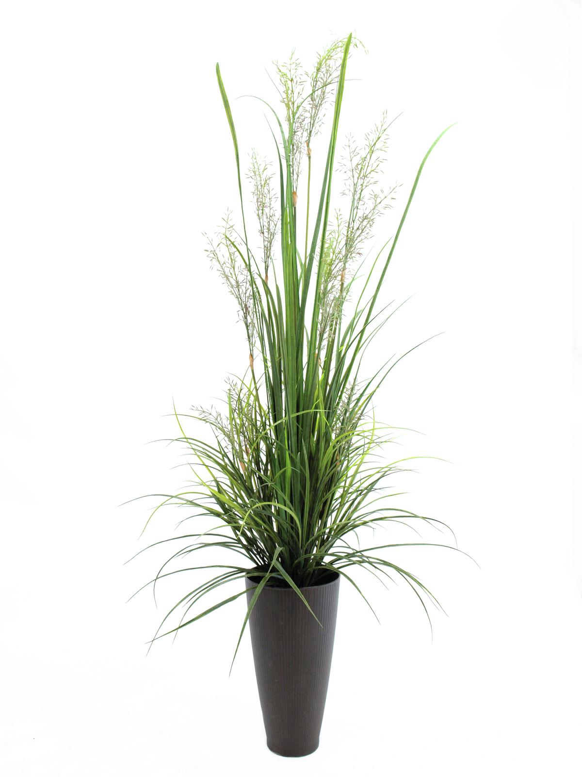 Europalms Schilfgras April, 175cm, Kunststoffpflanze